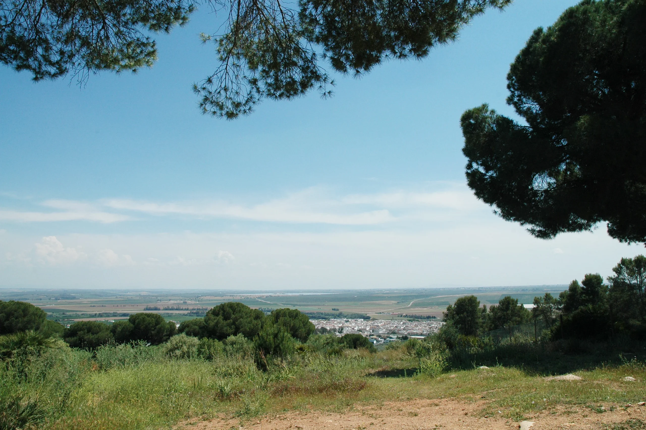 Rutas Flamencas Posadas