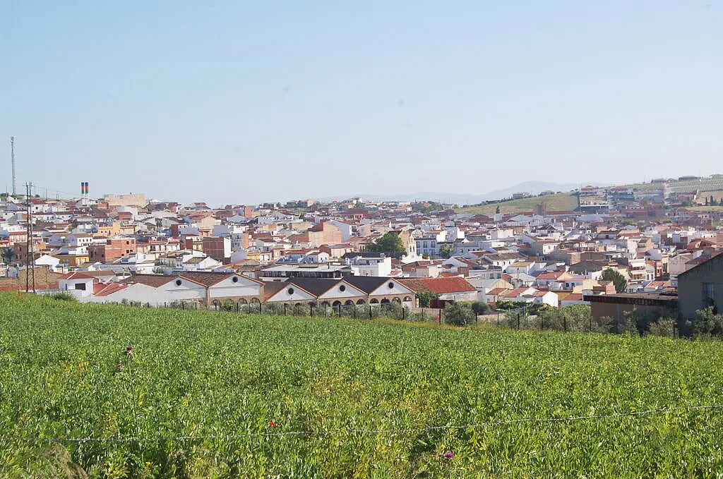 Rutas Flamencas Moriles
