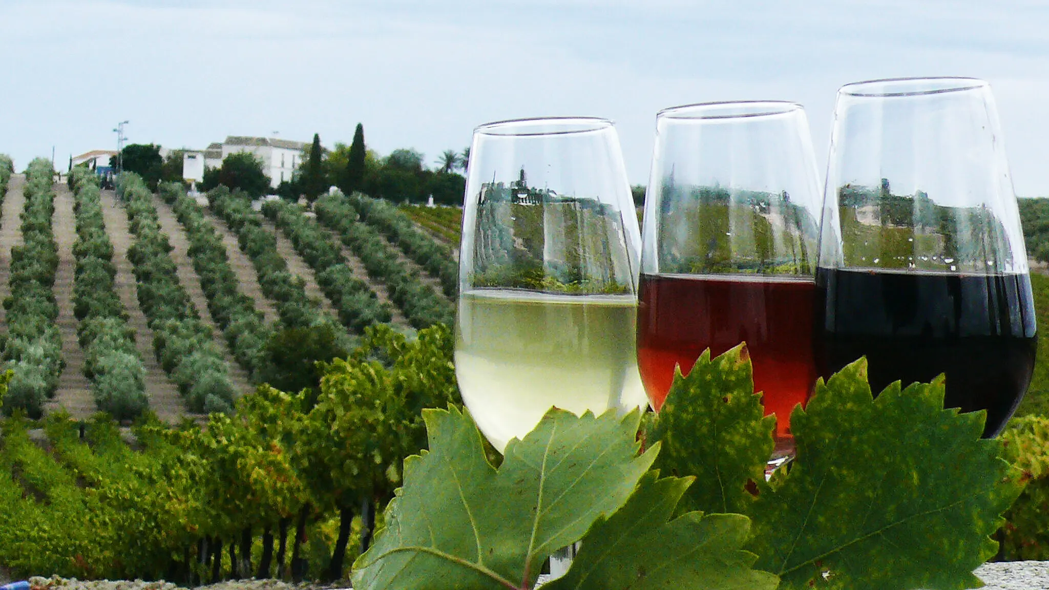 Rutas Flamencas Moriles