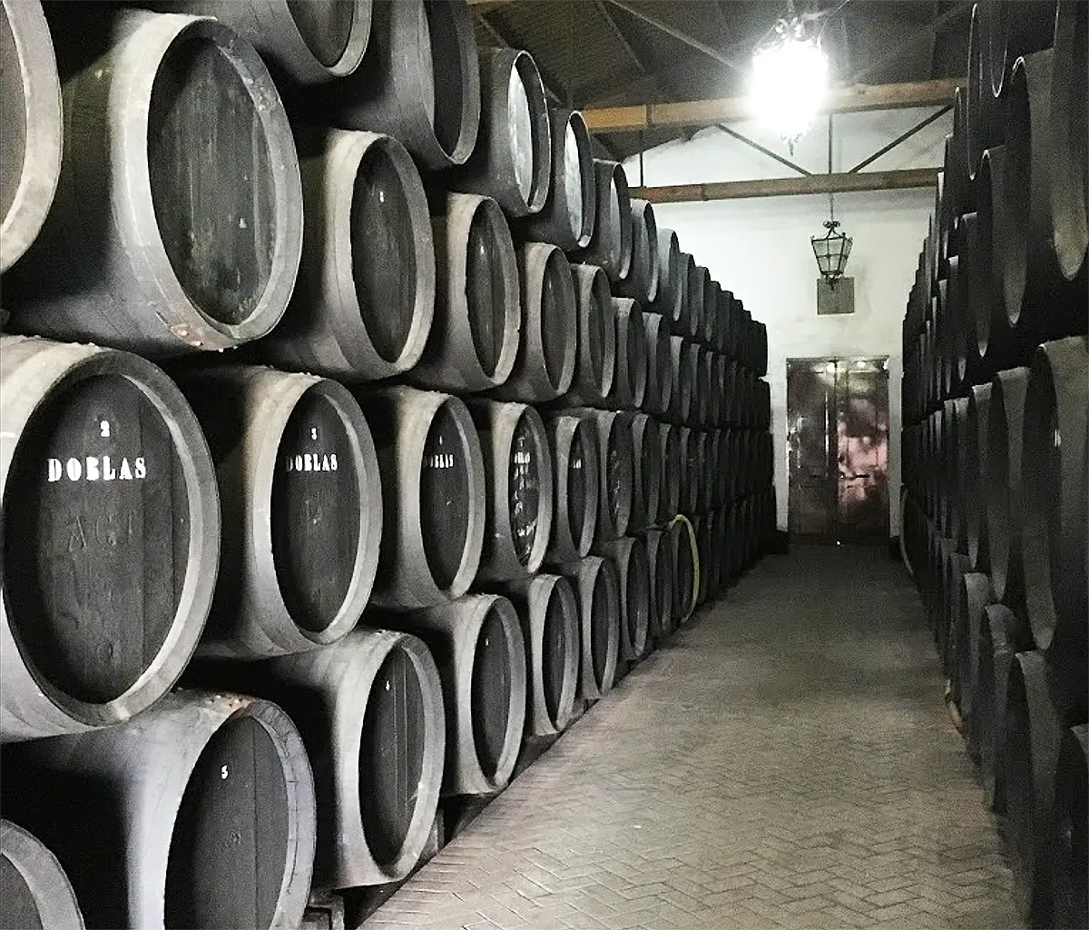 Rutas Flamencas Moriles