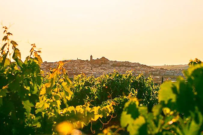 Rutas Flamencas Montilla