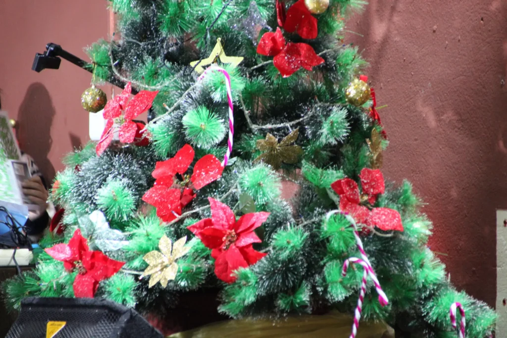 Los Reyes Magos en El Yunque