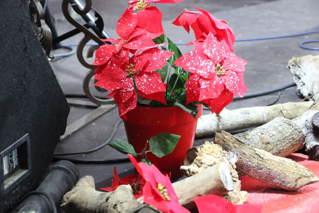 Los Reyes Magos en El Yunque