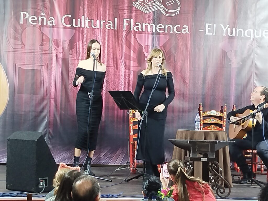 Festival Flamenco 4