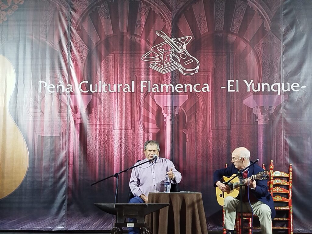 Festival Flamenco 5