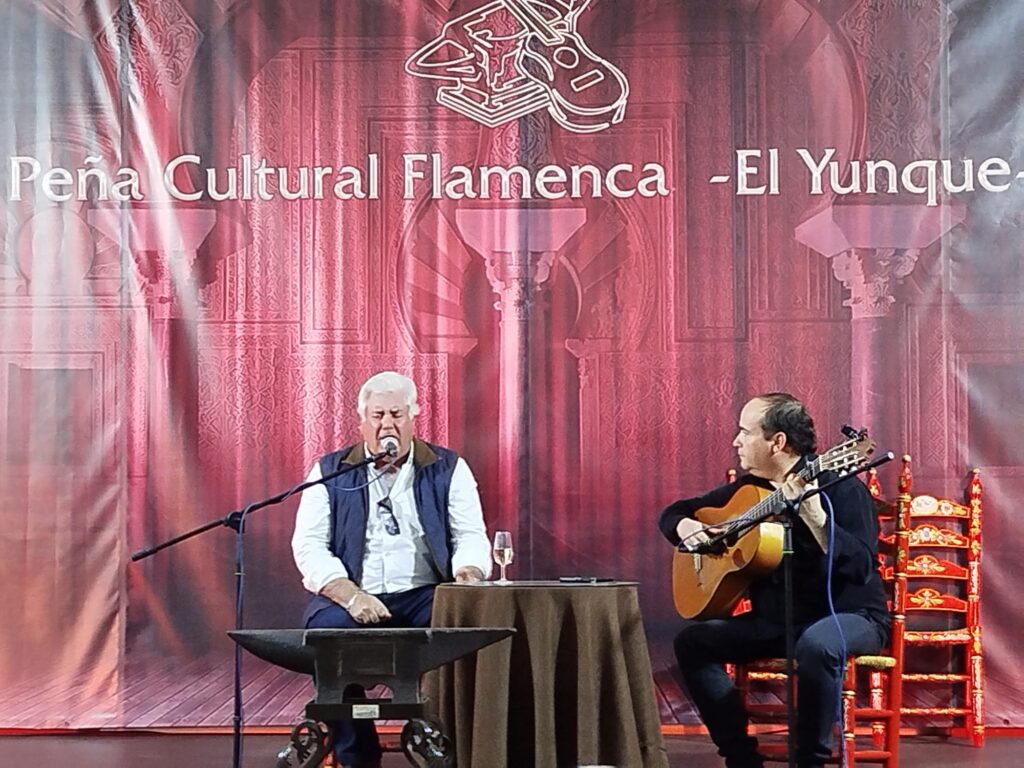 Festival Flamenco 3