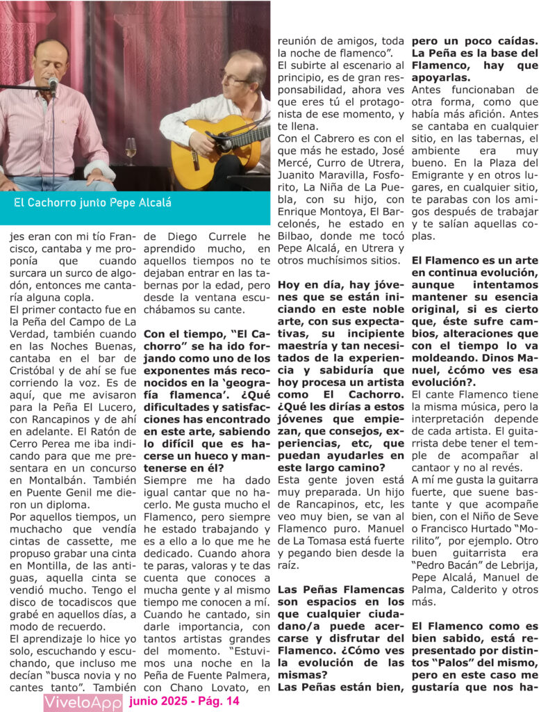 Revista Flamenca