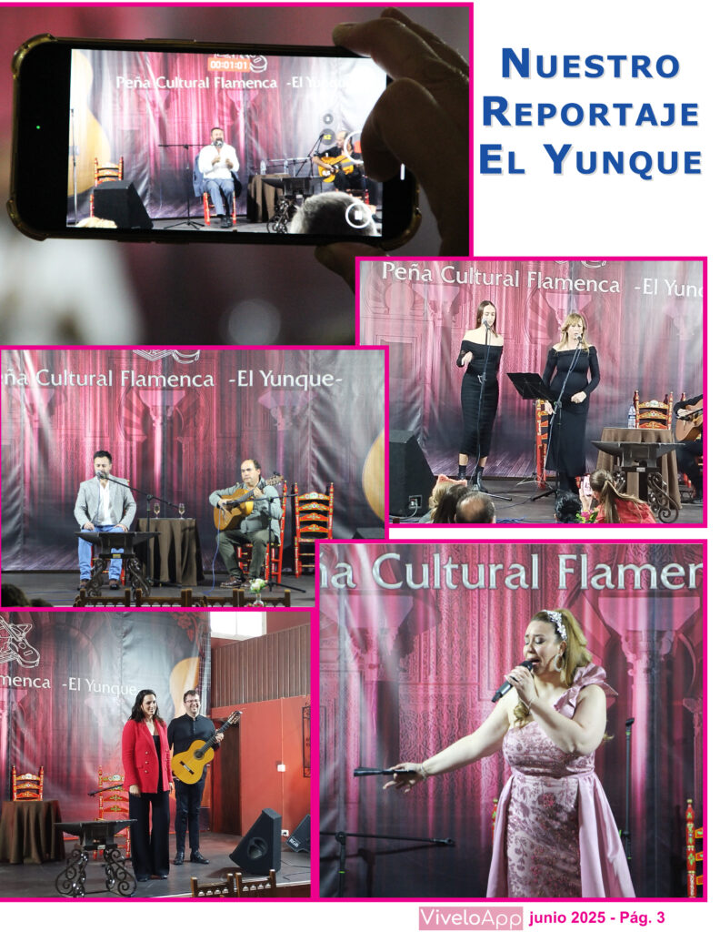Revista Flamenca