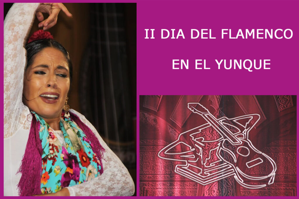 II Dia del Flamenco