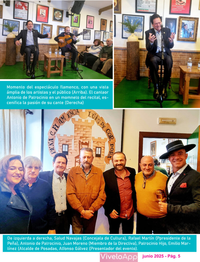 Revista Flamenca