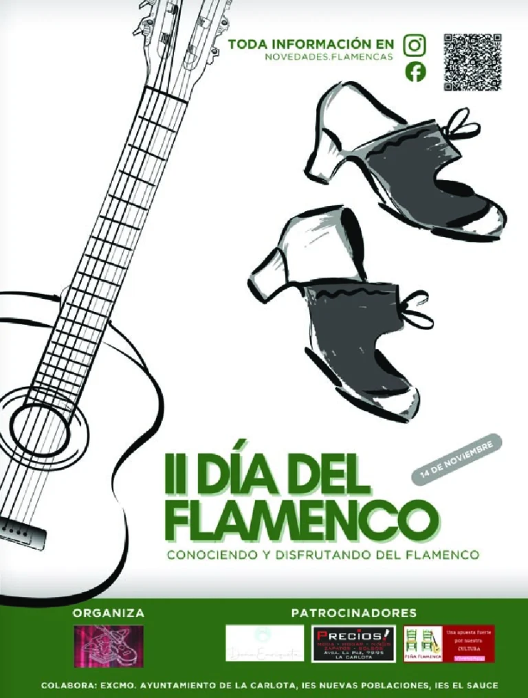 II Dia del Flamenco