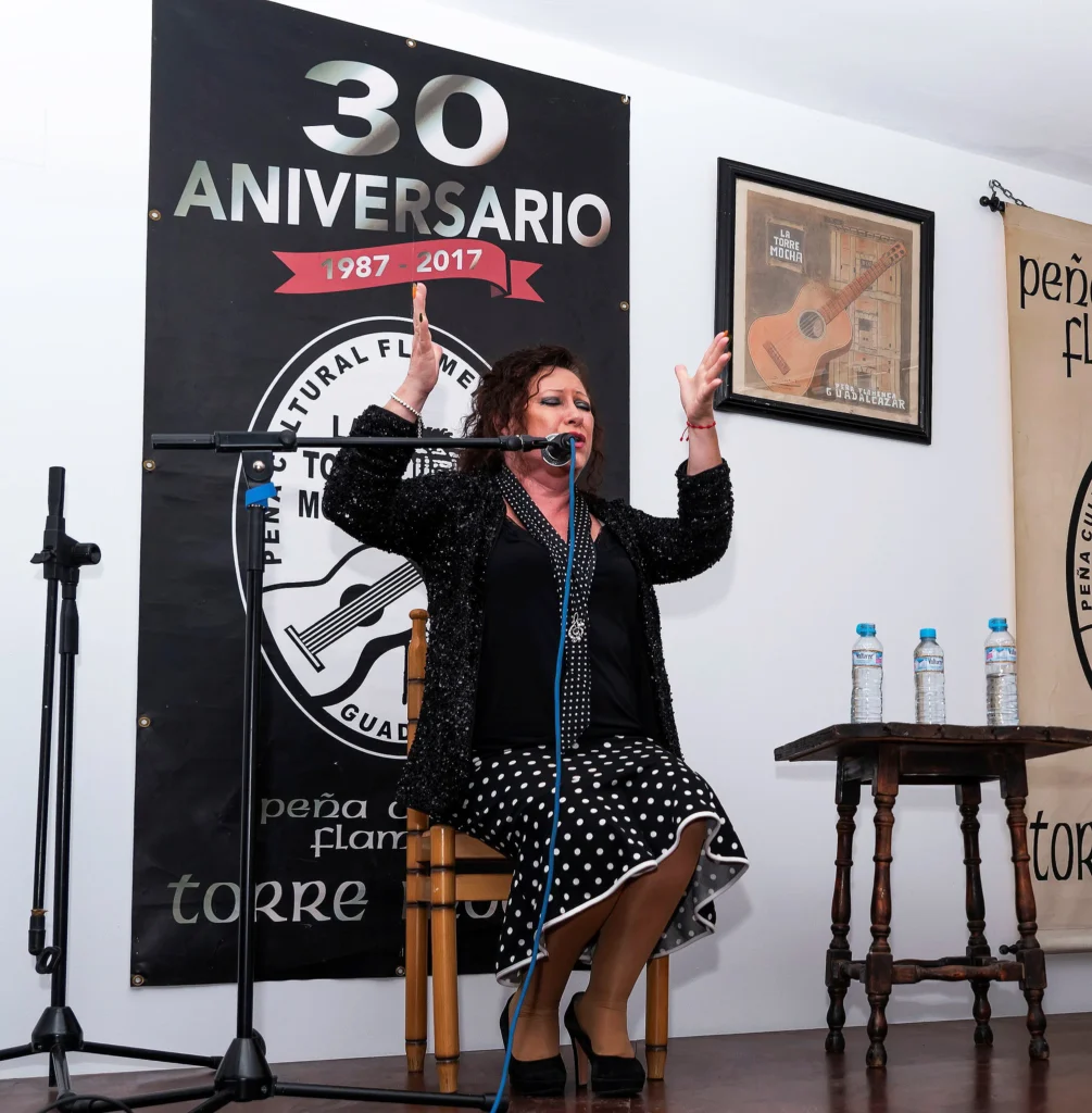 Recital Flamenco La Torre Mocha