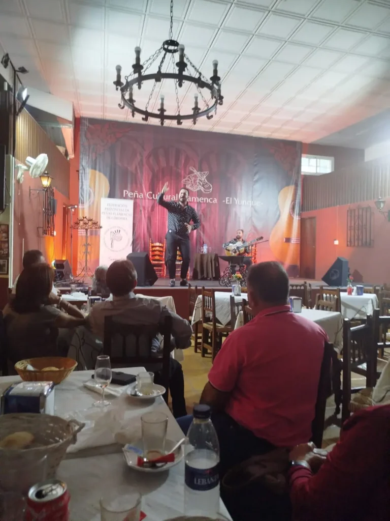 Ciclo Solera Flamenca