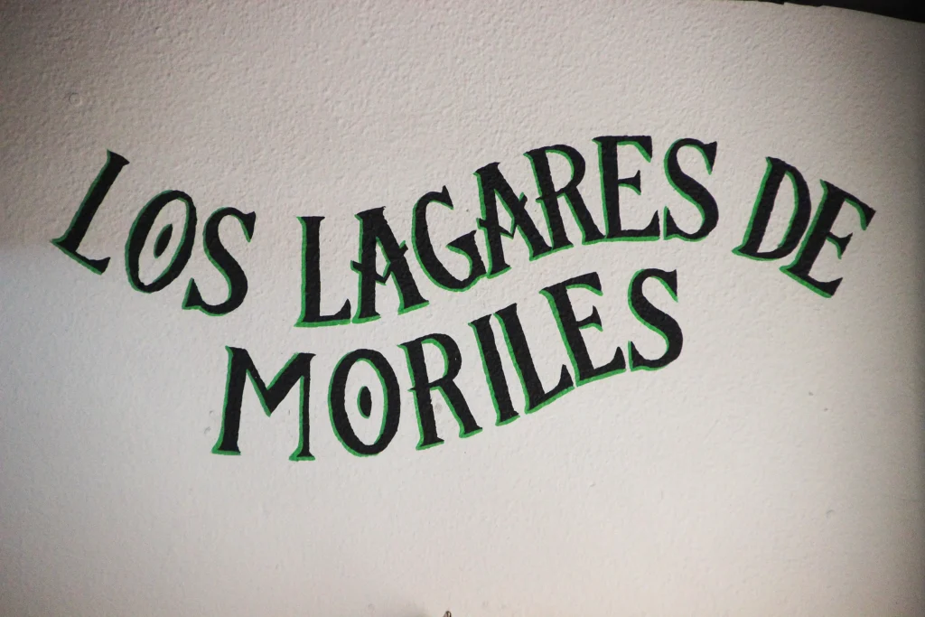 Evento María José Abad Peña Cultural Flamenca Los Lagares de Moriles