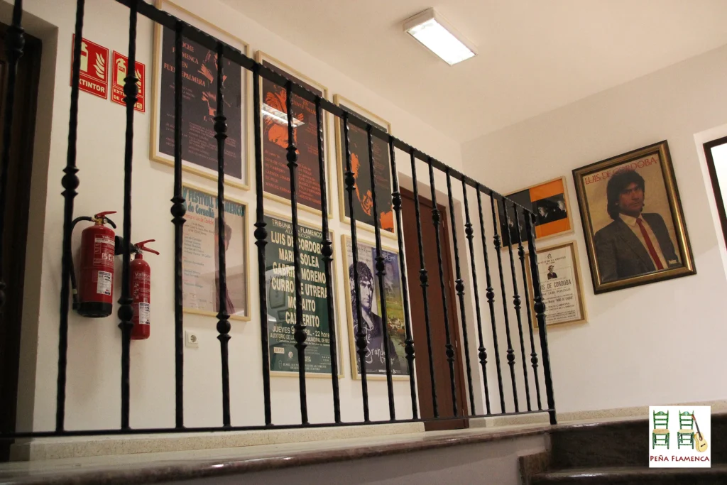 Peña Cultural Flamenca Luis de Córdoba Museo Flamenco Luis de Córdoba
