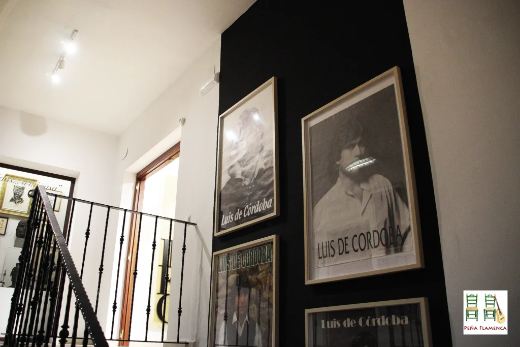 Peña Cultural Flamenca Luis de Córdoba Museo Flamenco Luis de Córdoba