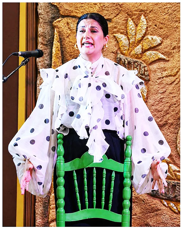 Peña Cultural Flamenca Diego Ayllón 2026 Evento Noche Flamenca
