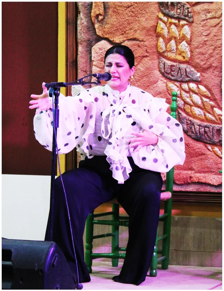 Peña Cultural Flamenca Diego Ayllón 2026 Evento Noche Flamenca