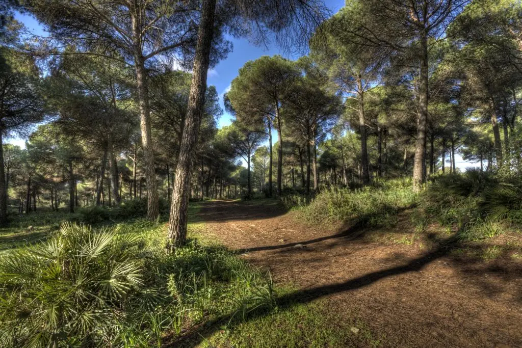 Rutas Flamencas Posadas