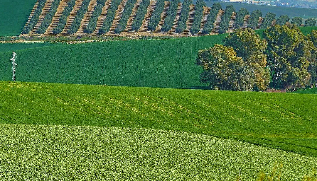 Rutas Flamencas La Guijarrosa