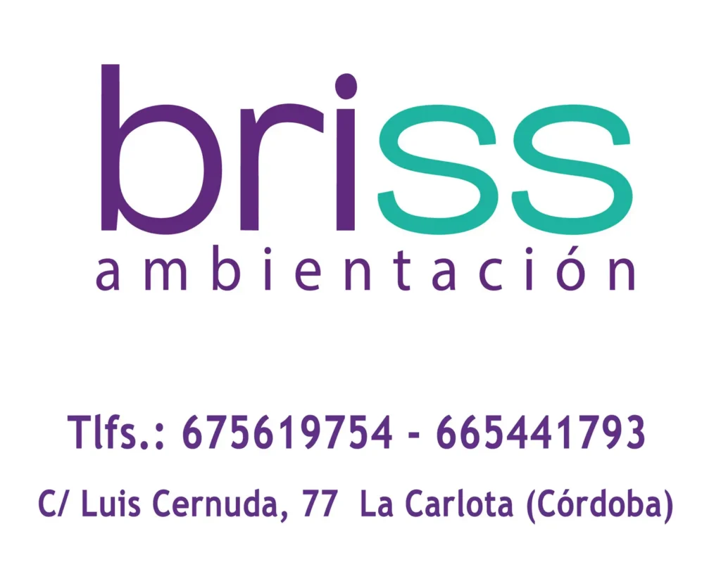 Briss Ambientación