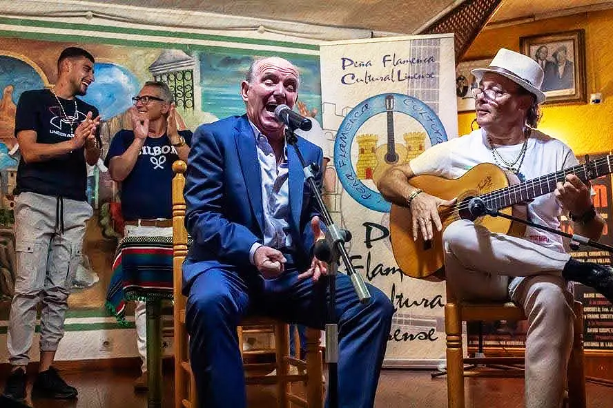 Peña Cultural Flamenca Linense 2026 Evento IX Mayo Flamenco