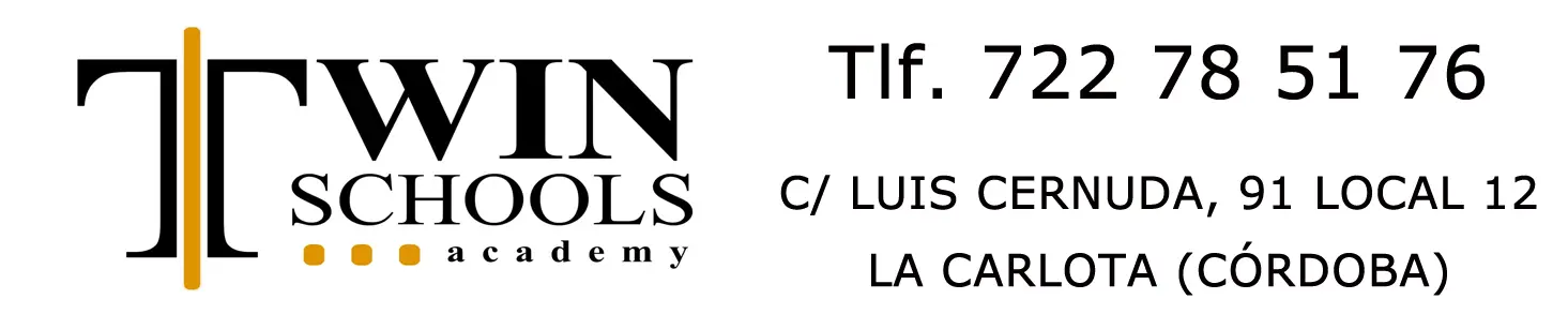 Twin Schools academy