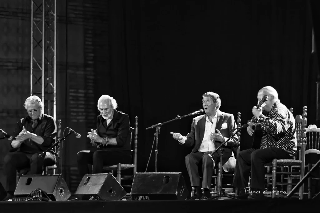Peña Cultural Flamenca Los Romeros 2026 XL Gazpacho Flamenco