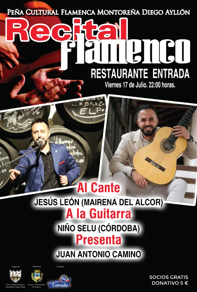 Recital Flamenco 17 Julio Diego Ayllón