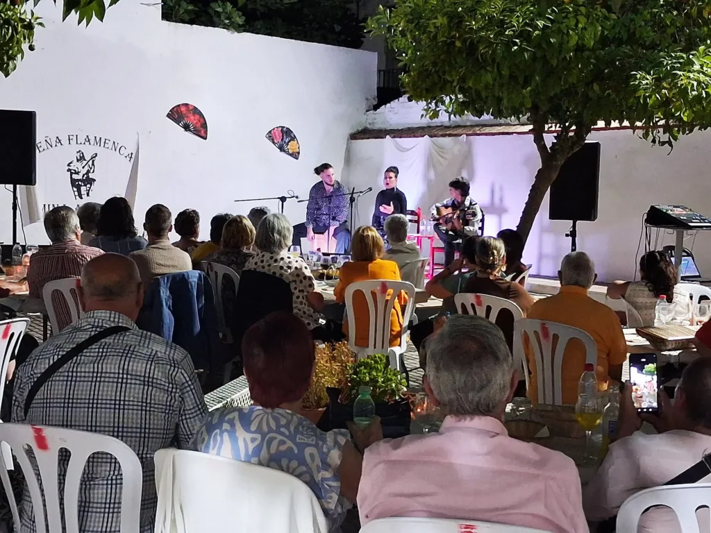 Visión del Público del Festival Flamenco de Mina Aurora