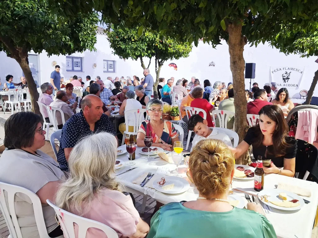 Foto del Público del Festival Flamenco de Mina Aurora