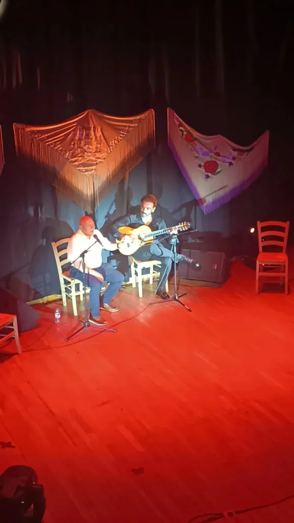 Visión del Público del Nocturno Flamenco de Mina Aurora