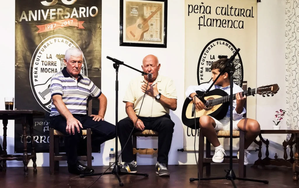 Fotografía de la Noche Flamenca en pleno Evento