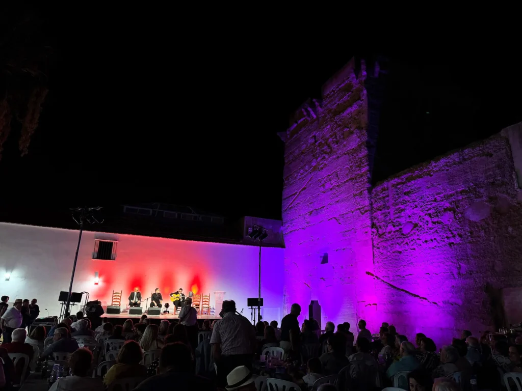 Fotografía del cante de XIII Memorial José Navarro Zacarías en la Peña Flamenca El Despertar