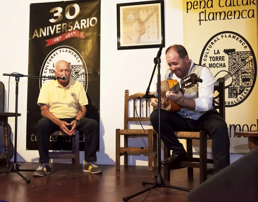 Fotografía de La Noche Flamenca en plena acción de la Guitarra