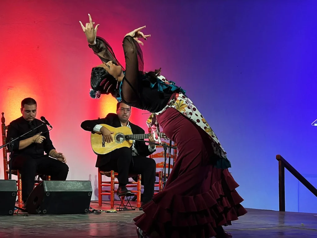 Reflejo del Baile de XIII Memorial José Navarro Zacarías en la Peña Flamenca El Despertar