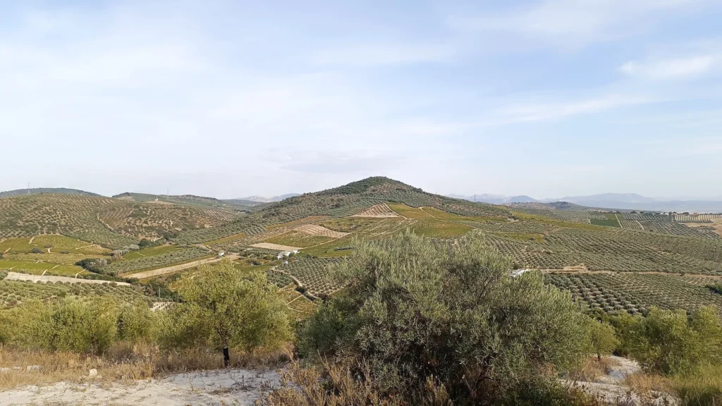 Fotografía del Cerro Don Juan por la Peña Flamenca El Lucero
